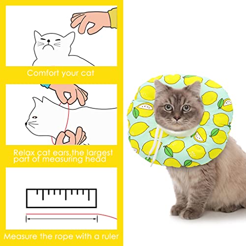 Qpets® Cat Cone Collar Adjustable Soft Elizabethan for Cats Small Dogs Comfy PP Cotton Protective E-Collar After Surgery Anti-Licking Design Detachable Machine Washable Cover S 12-22cm 3PCS Qpets® Cat Cone Collar Adjustable Soft Elizabethan for Cats Small Dogs Comfy PP Cotton Protective E-Collar After Surgery Anti-Licking Design Detachable Machine Washable Cover S 12-22cm 3PCS